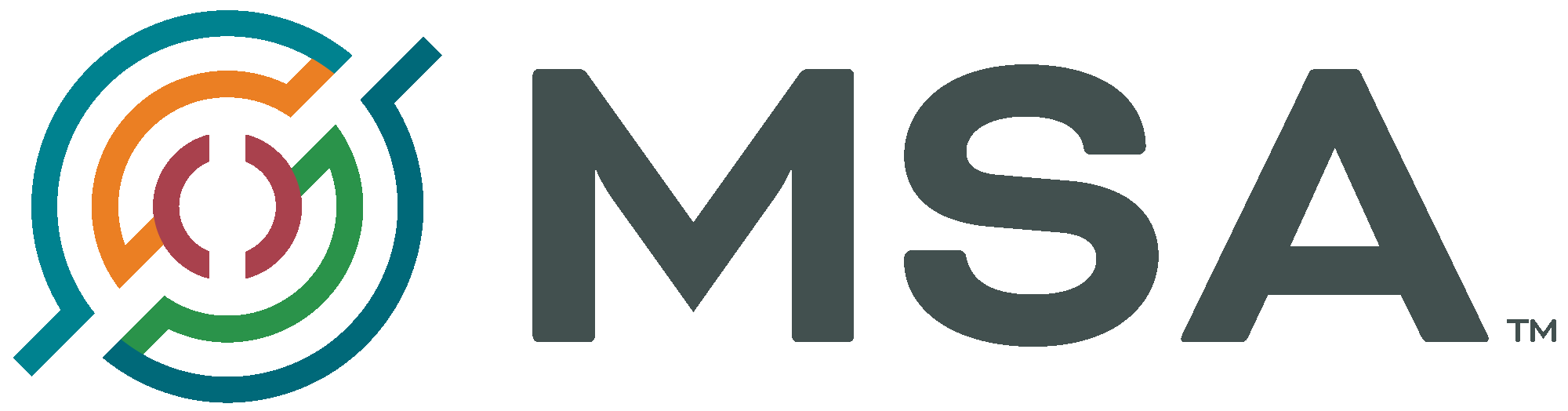 MSA Professional Services